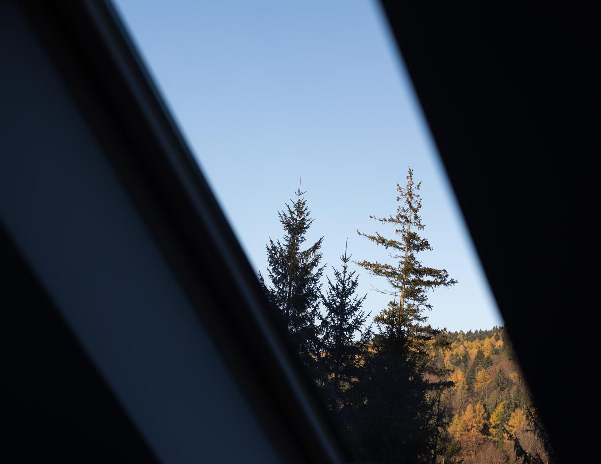 Impala Sinaia - Springbok Apartment Bagian luar foto